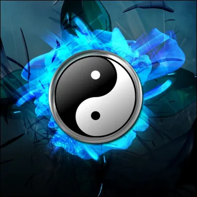 Par qui le Yin Yang est-il utilis&eacute; la premi&egrave;re fois ?