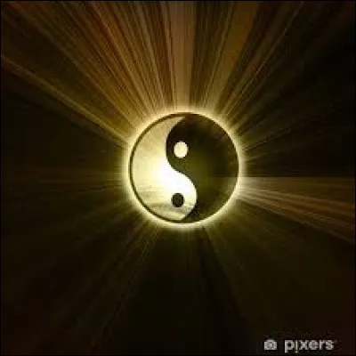 Le Yin Yang est associ&eacute; &agrave; cinq &eacute;l&eacute;ments. Lesquels ?