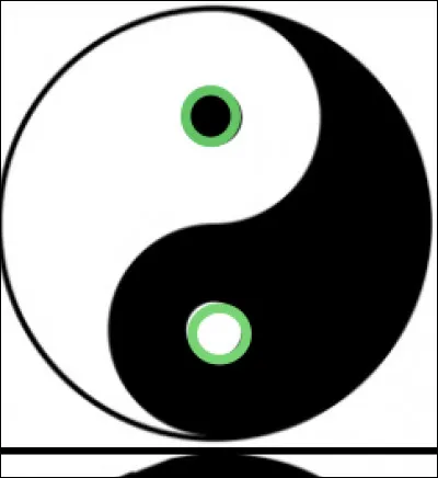 Que rappellent les deux points blanc et noir (ce qui est vert sur l�image) ?