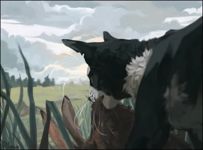 Ton passe-temps favori est...