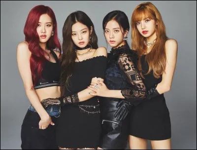 Laquelle est leader ?