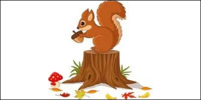 Trouvez la bonne orthographe ?