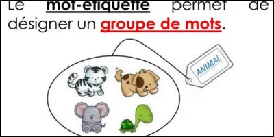 L'artichaut, le céleri et l'asperge sont :