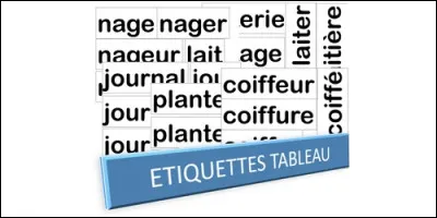 Quel mot n'appartient pas à la même famille du mot "chat" ?