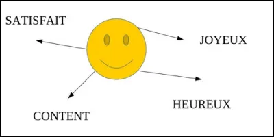 Quel mot n'est pas un synonyme de l'adjectif "marrant" ?