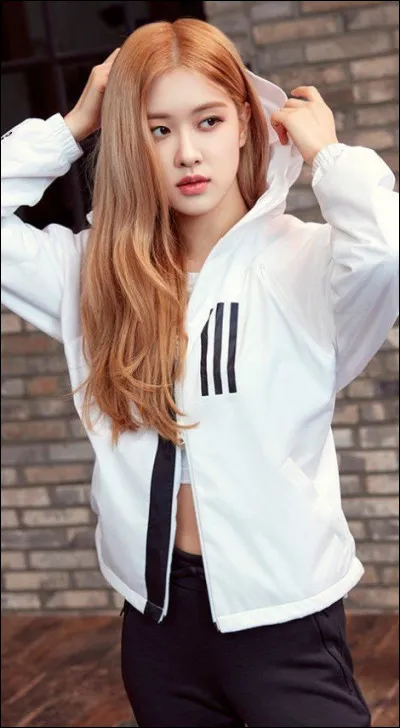 Quel est son poids ?