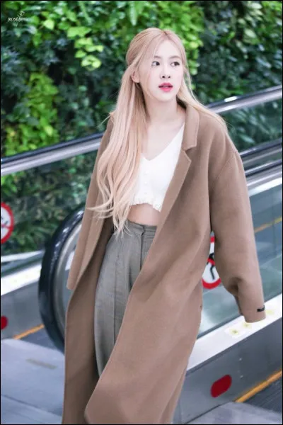 Avec qui a-t-elle collaboré ?