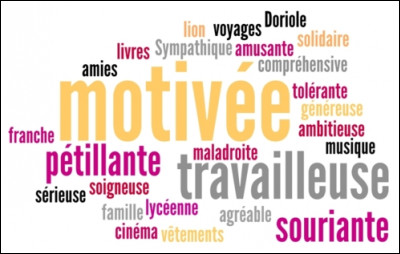 Quel est ton principal trait de caractère ? (2)