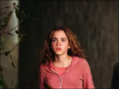 Dans lequel de ces films voit-on Hermione ainsi ?