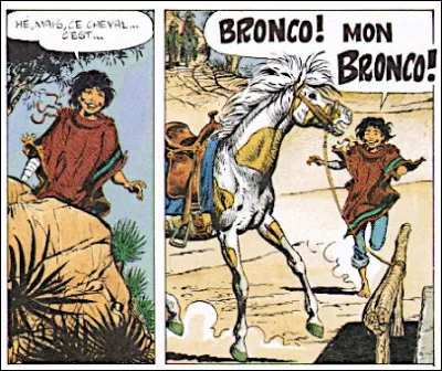 Au départ, notre héroïne, un garçon manqué au caractère trempé, n'est qu'une simple bergère indienne vivant dans le désert avec son père. Mais cela va changer... Qui est-ce ?