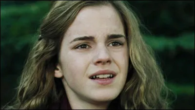 Quelle famille préfères-tu ?