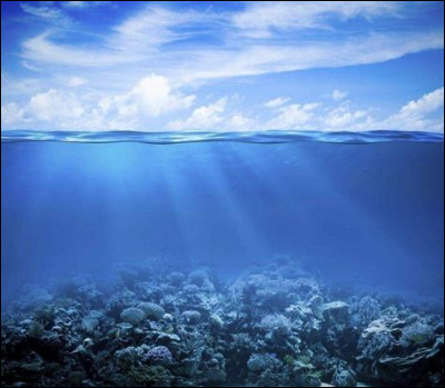 Choisis un endroit entre forêt, plage, lac et océan. C'est fait ? Maintenant, réponds aux questions en répondant la vérité ! Y a-t-il de l'eau dans cet endroit ?