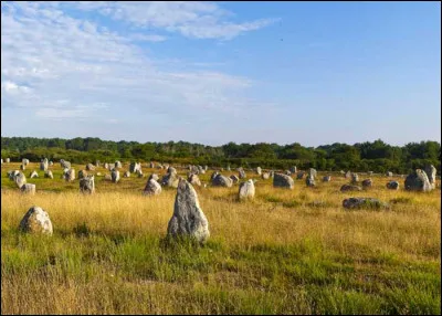 Quel département porte le numéro 56 ?