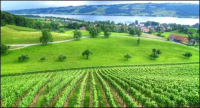 Quel continent n'existe pas ?