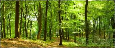 Quelles matières sont naturelles ?