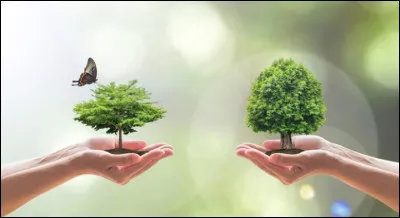 Qu'est-ce qui est bien écrit ?