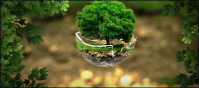 Quelles propositions sont vraies ?