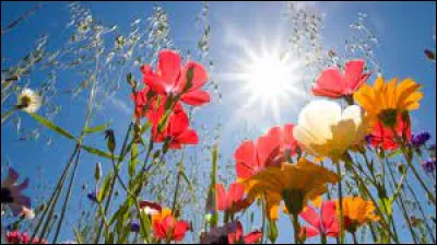 Qui a chanté "Le pouvoir des fleurs" dans les années 90 ?