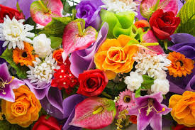 Quiz Fleurs