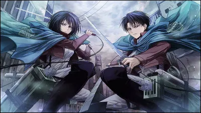 D'après la lignée Ackerman, qui est Mikasa pour Livaï ?