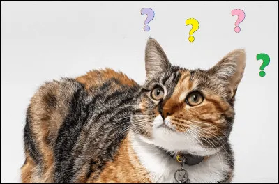 Au début je n'aimais pas mon compagnon mais j'ai finalement eu deux magnifiques filles avec lui. Quel est mon nom ?