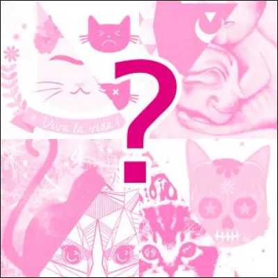 Je n'ai jamais reçu mon nom de guerrier et j'ai quitté mon clan. Je suis un mâle. Qui suis-je ?