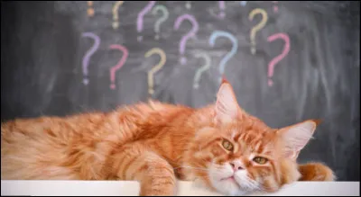 Je suis mort en essayant de prouver mon honneur et recevoir mon nom de guerrier. Pourtant, je ne l'ai pas reçu de mon vivant. Qui suis-je ?