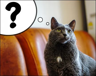 J'ai été chef de clan. J'ai connu le père d'un autre chef célèbre mais nous ne faisons pas partie du même clan. Quel est mon nom ?