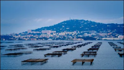 L'étang de Thau se trouve dans le département :