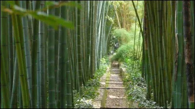 La Bambouseraie d'Anduze se trouve dans le département :