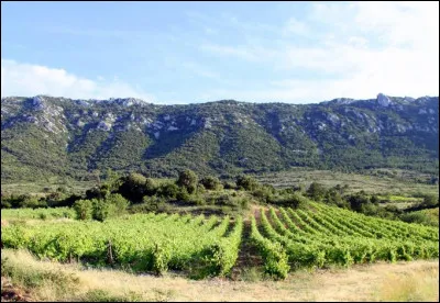 C'est le moins peuplé des trois avec 374 000 habitants et une densité de 60 habitants/km² :