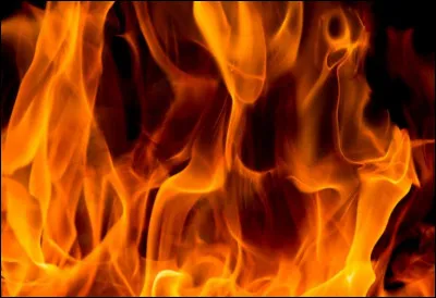 Avec quel dragon voudrais-tu cohabiter ?