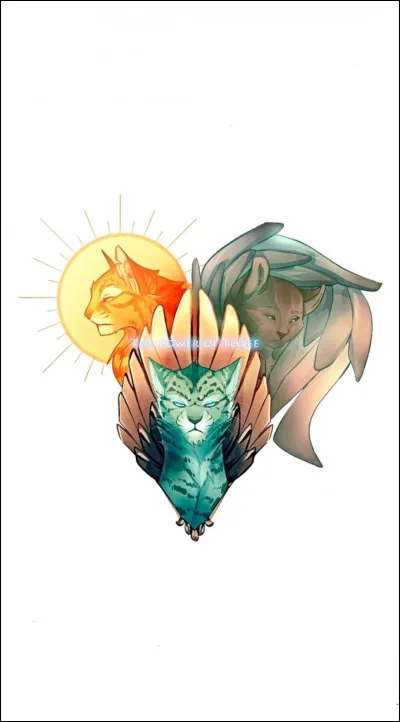 Dans quels cycles apparaît-il ?