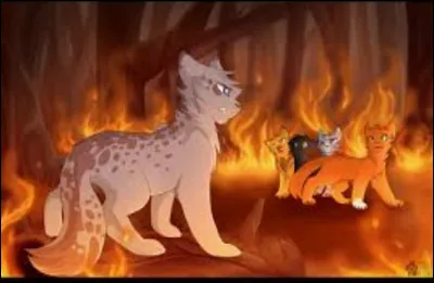 S'il en a, comment s'appellent ses frères et sœurs ?