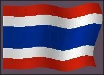 Ce drapeau est celui ...