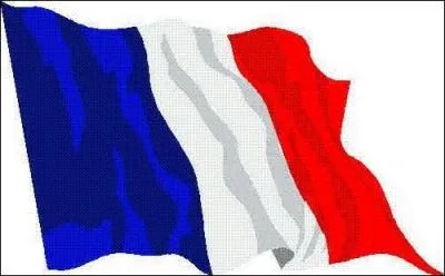 Ce drapeau est celui ...