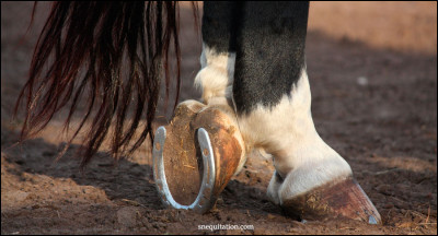 Quel équipement est-ce ?