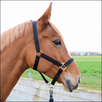 Quel équipement est-ce ?