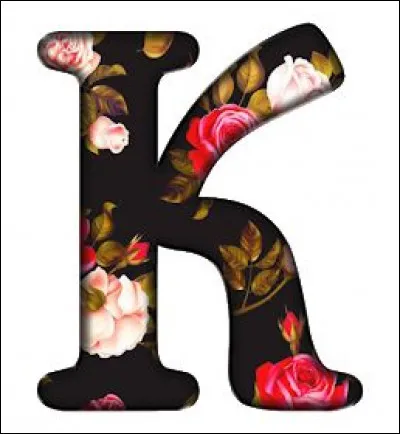 Kakou : on le connait sous le pseudo d'Élie Kakou. Comment s'appelle-t-il en réalité ?