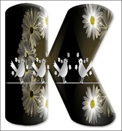 À quoi sert le kaolin ?