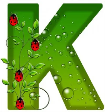 Kyoto : c'est l'ancienne capitale du Japon, sur quelle île est-elle située ?