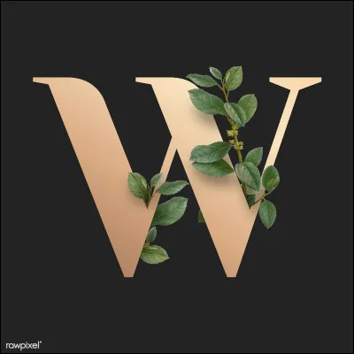 Which, Whose, Who : voilà du choix pour compléter cette phrase que je vous donne en anglais : 
"Can I pick the flowers....... are in your garden ?"
