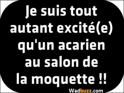 I'm so excited, and i just can't hide it !