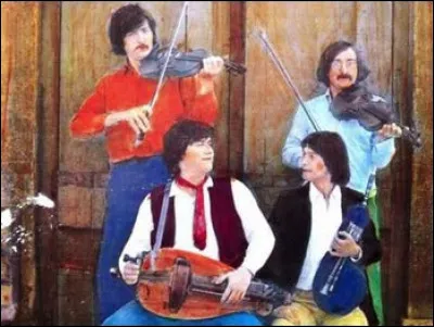 Quel est ce groupe professionnel de quatre musiciens traditionnels issus de la région lyonnaise ?