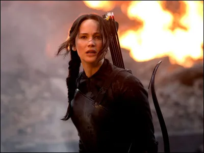 Quelle est la couleur préférée de Katniss ?