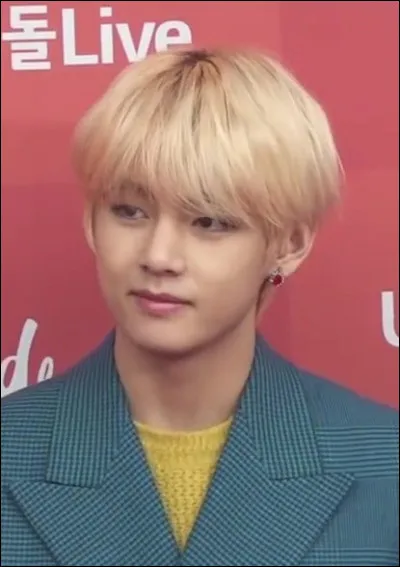 Quelle est la couleur pr&eacute;f&eacute;r&eacute;e de Tae-Hyung ?