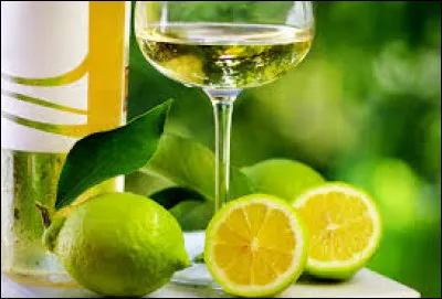 De quoi va se servir Olugio pour conserver le vin de saule aux citrons ?