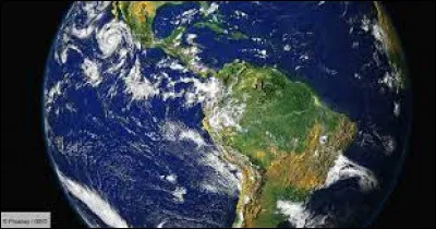 Quel est le premier être vivant qui a foulé la Terre ?