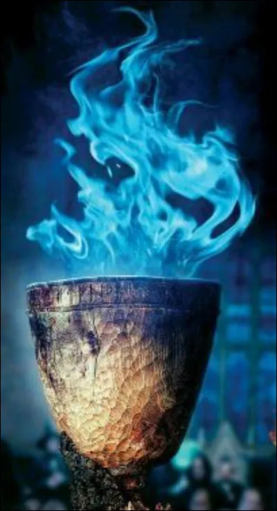 Est-ce que Harry Potter a gagné la Coupe de feu ?