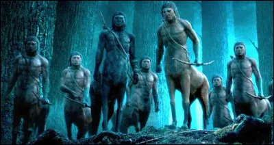 Quel est le premier centaure que Harry Potter a rencontré ?